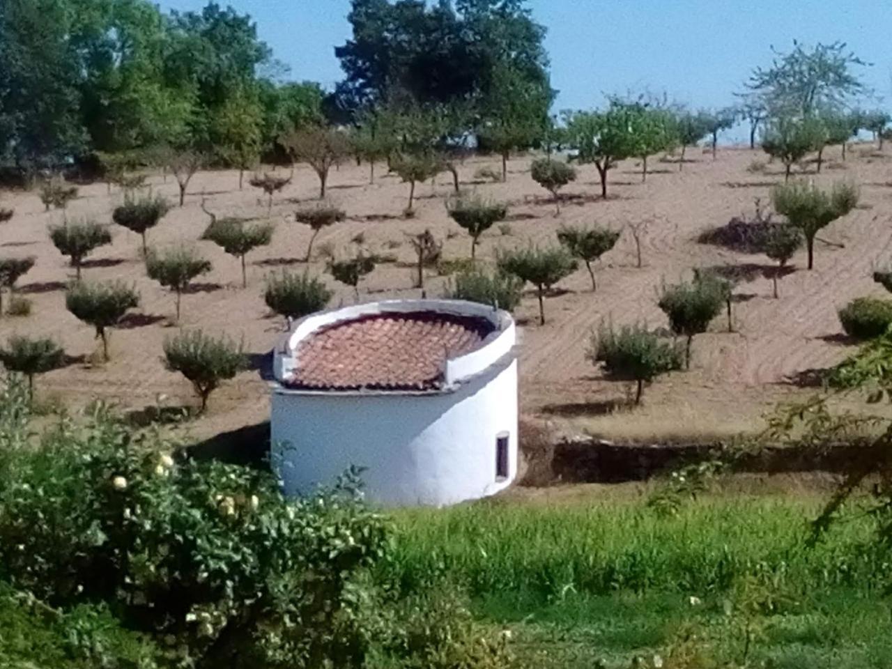 Casa Dos Pombais De Cacarelhos Rural别墅 外观 照片